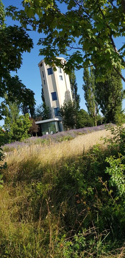 Ferienwohnung Little Joe Hotzelsroda Exterior foto